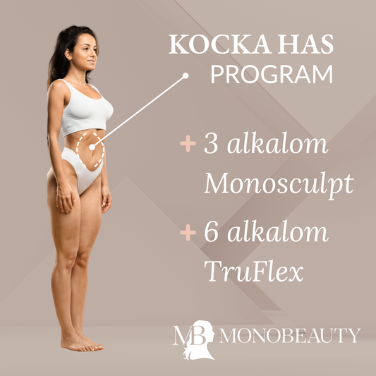 Kocka has program
